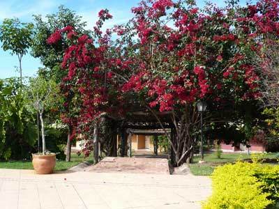 Hotel Fazenda Do Bertione Miranda Zewnętrze zdjęcie